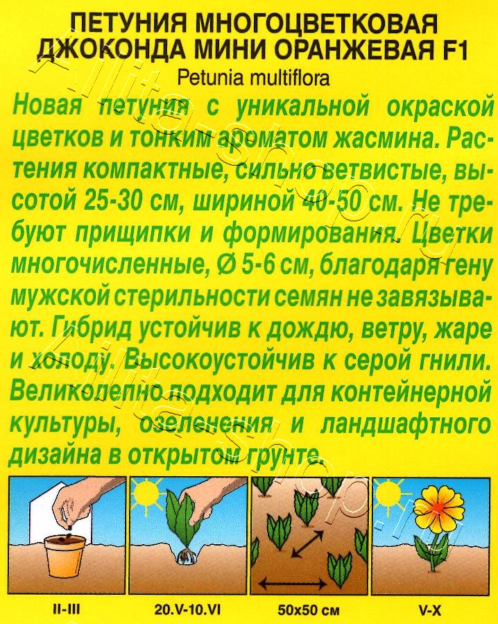 Петуния Джоконда мини F1 оранжевая 5шт