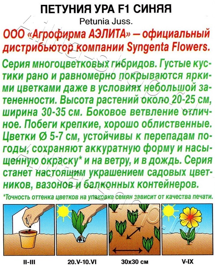 Петуния Ура F1 синяя 7шт