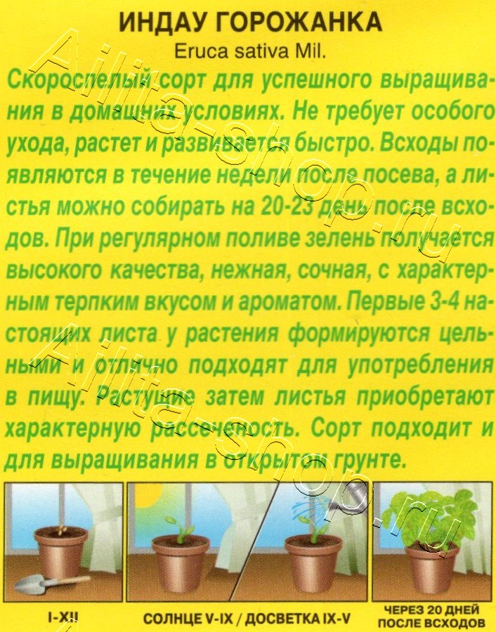 Индау (руккола) Горожанка 0,3г