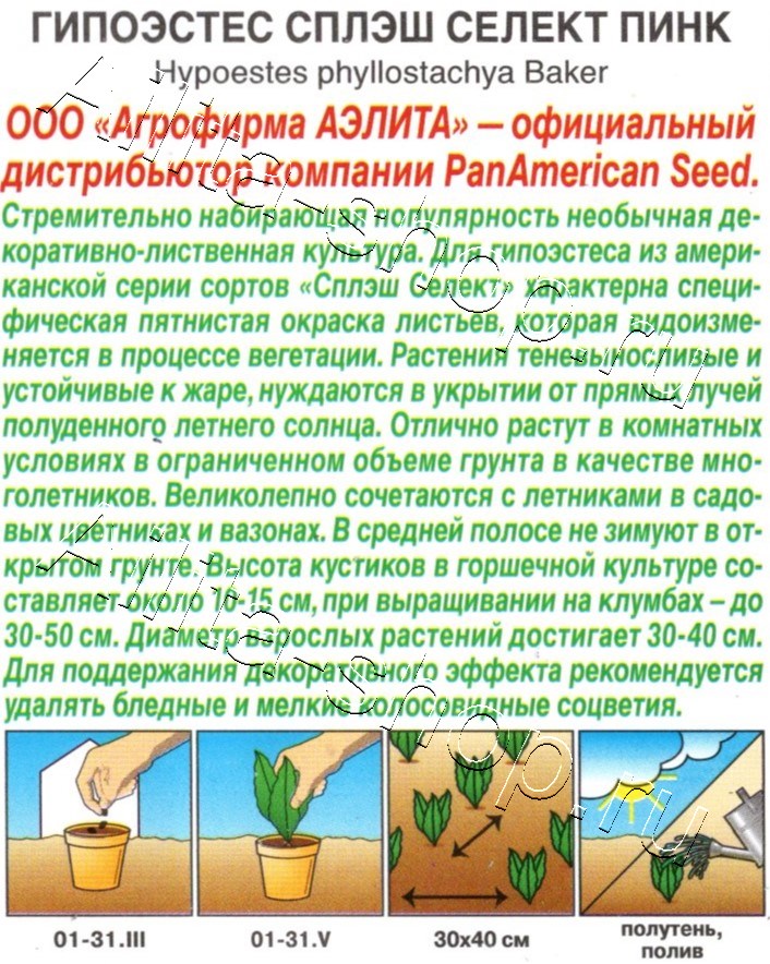 Гипоэстес Сплэш селект пинк 7шт