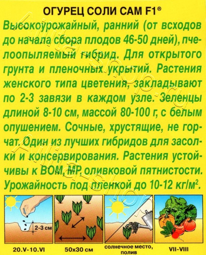 Огурец Соли сам F1 10шт