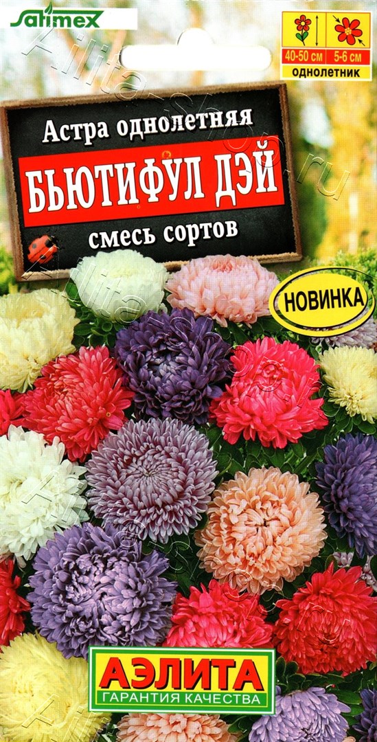 Астра Бьютифул Дэй, смесь сортов 25шт