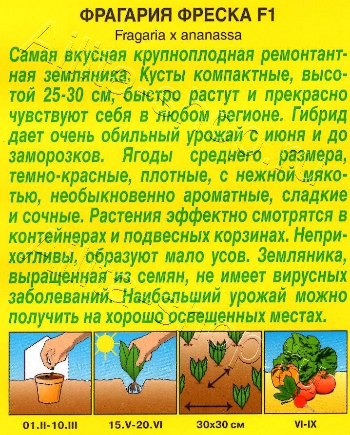 Земляника ремонтантная крупноплодная Фреска F1 10шт