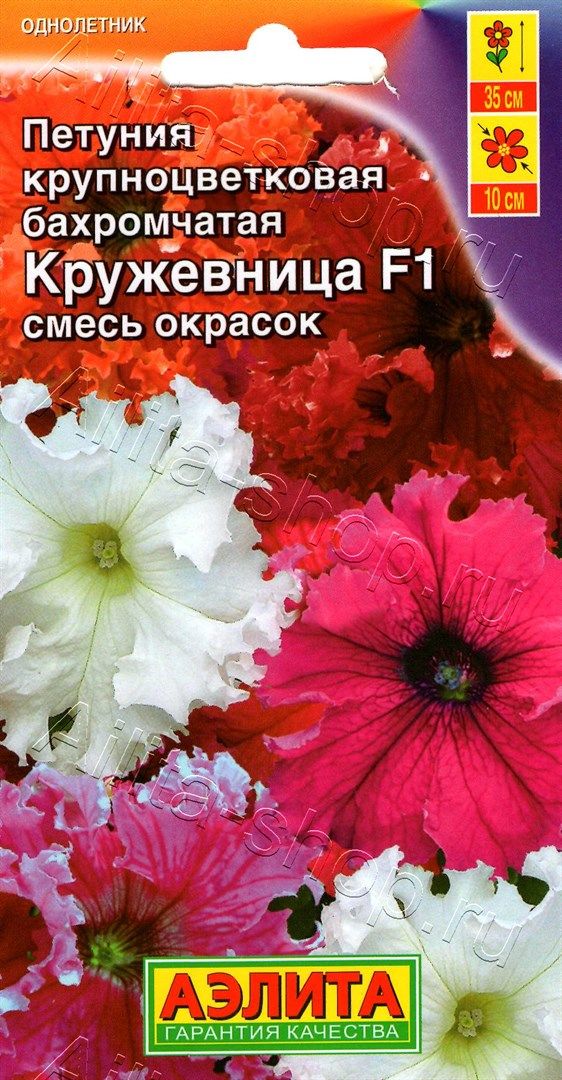 Петуния крупноцветковая смесь. Петуния Кружевница f1 смесь сортов. Петуния Кружевница f1. Петуния бахромчатая крупноцветковая.