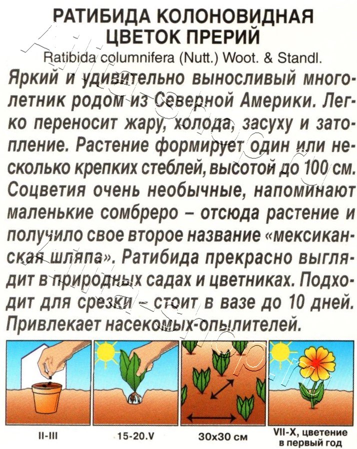 Ратибида Цветок прерий 0,1г