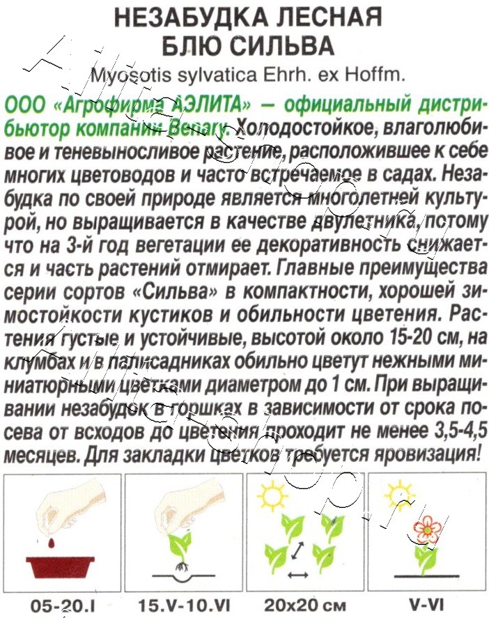 Незабудка лесная Блю сильва 10шт
