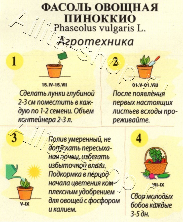 Фасоль овощная Пиноккио 5г