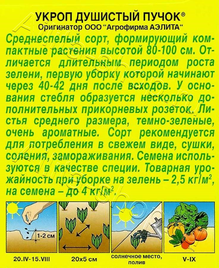 Укроп Душистый пучок 3г