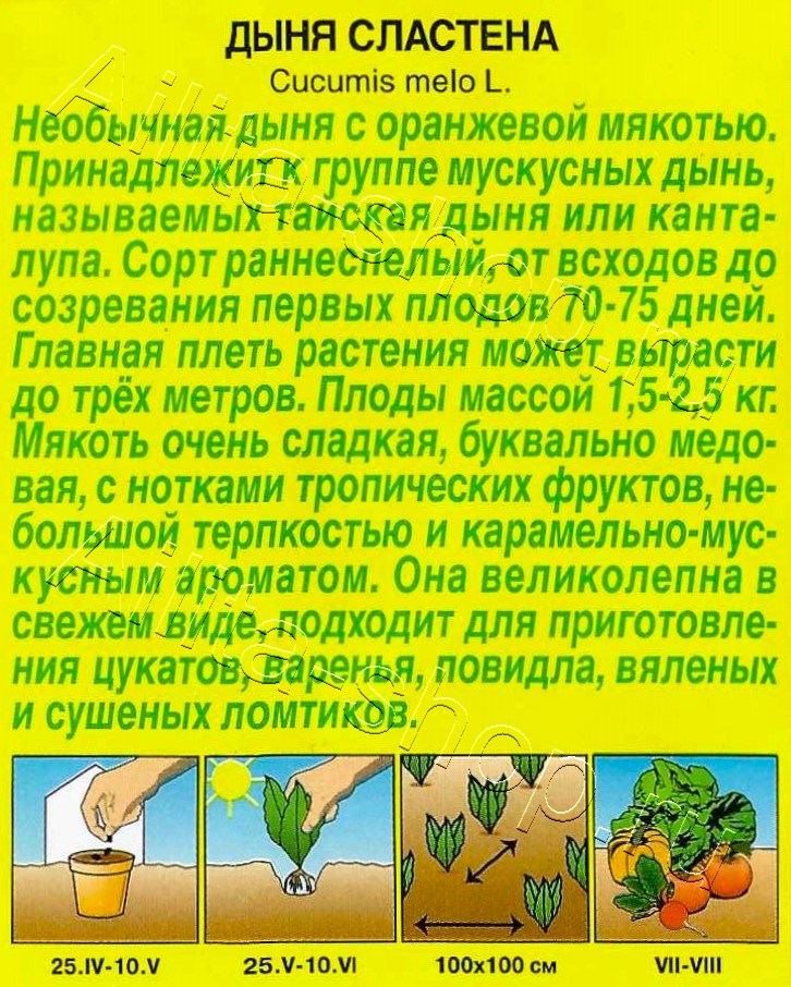 Дыня Сластена 1г