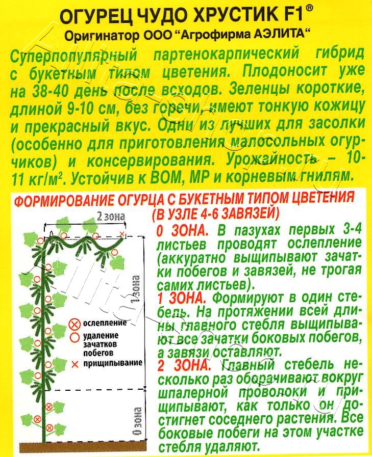 Огурец Чудо хрустик F1 10шт