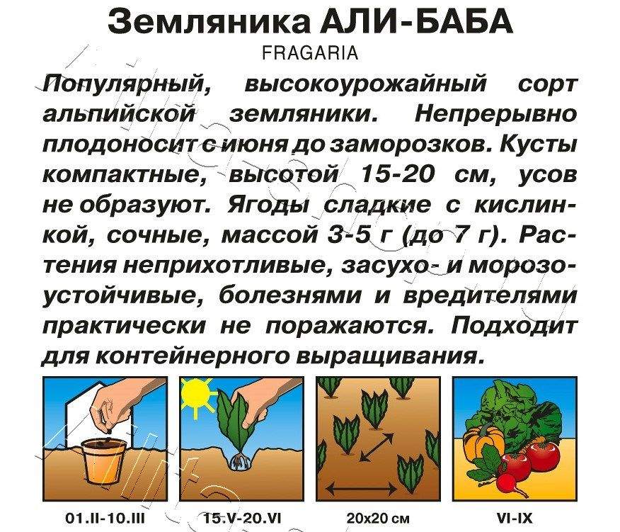 Земляника Али-Баба 0,04г