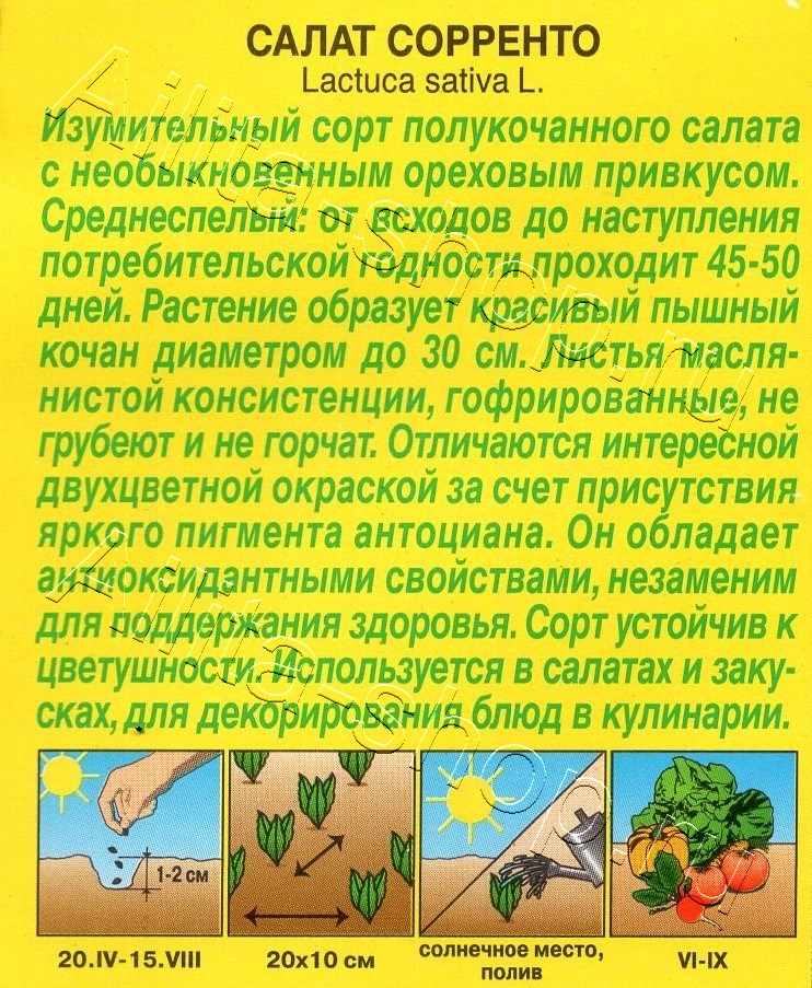 Салат Сорренто 0,5г