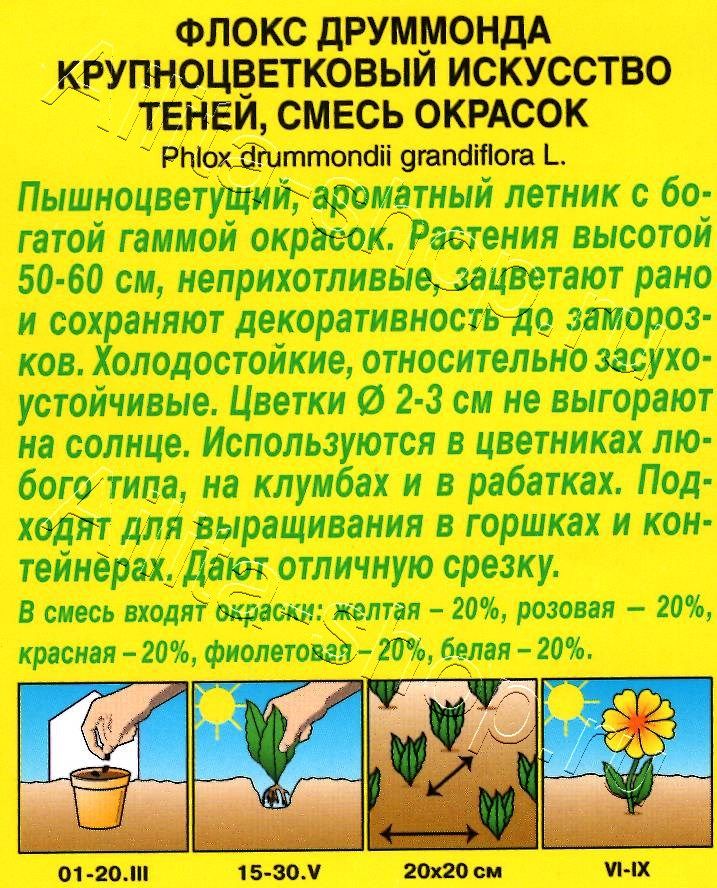 Флокс крупноцветковый Искусство теней, смесь окрасок 0,2г