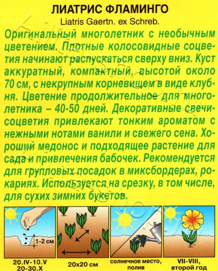 Лиатрис колосковая Фламинго 0,1г