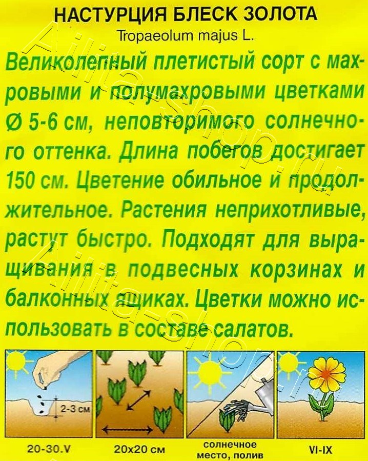 Настурция Блеск золота махровая 1г