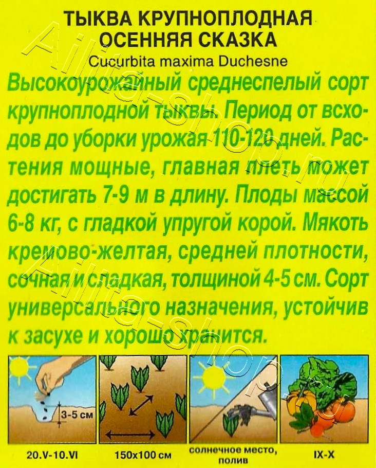 Тыква крупноплодная Осенняя сказка 2г