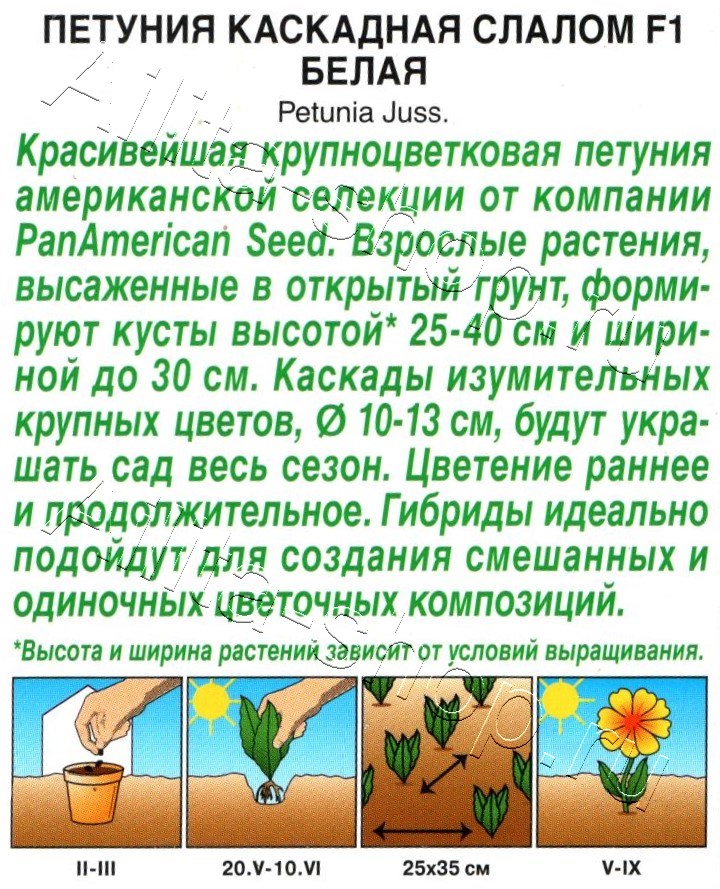 Петуния Каскадная слалом F1 белая 7шт