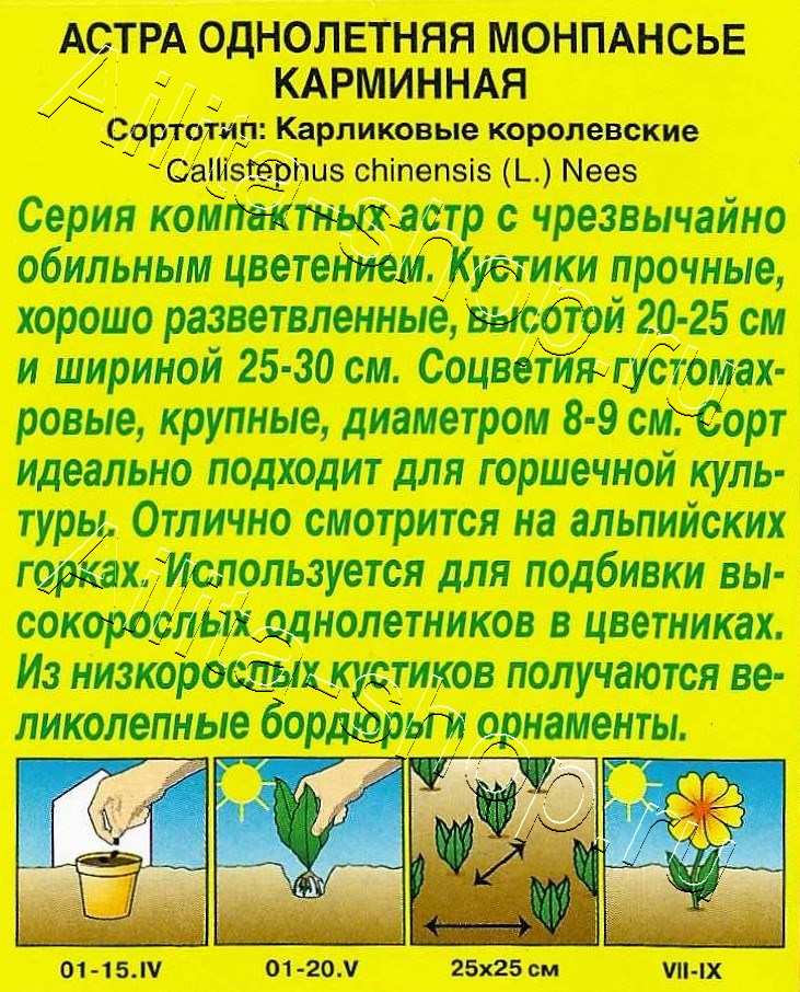 Астра Монпансье карминная 0,2г