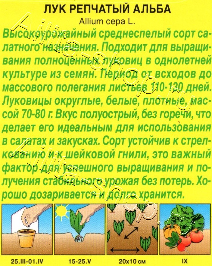 Лук репчатый Альба 0,5г