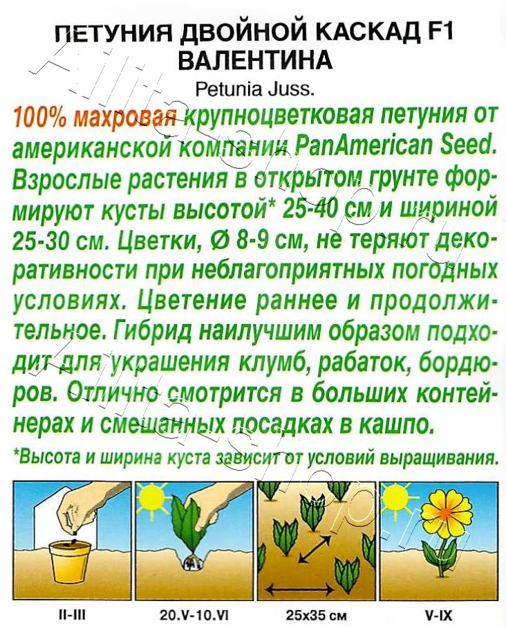 Петуния Двойной каскад F1 валентина 5шт