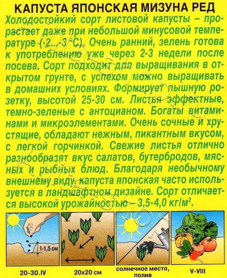 Капуста японская Мизуна ред 0,5г