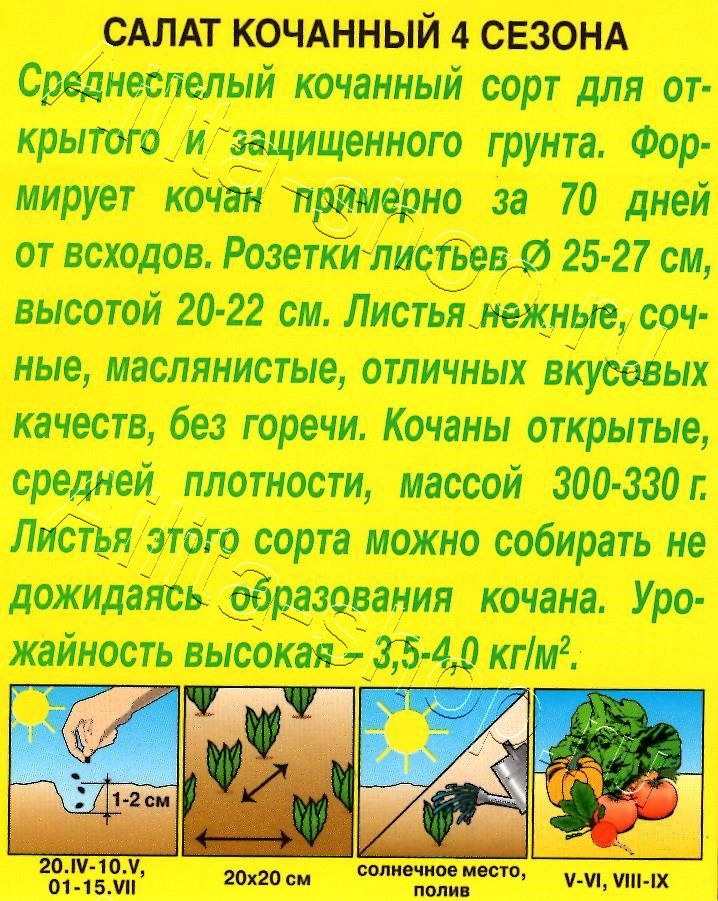 Салат 4 сезона кочанный 0,5г