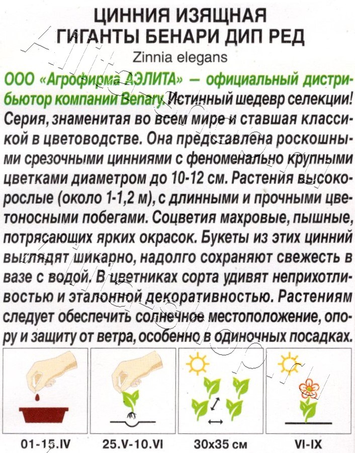 Цинния Гиганты Бенари дип ред 7шт