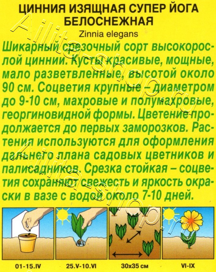 Цинния Супер йога белоснежная 0,3г
