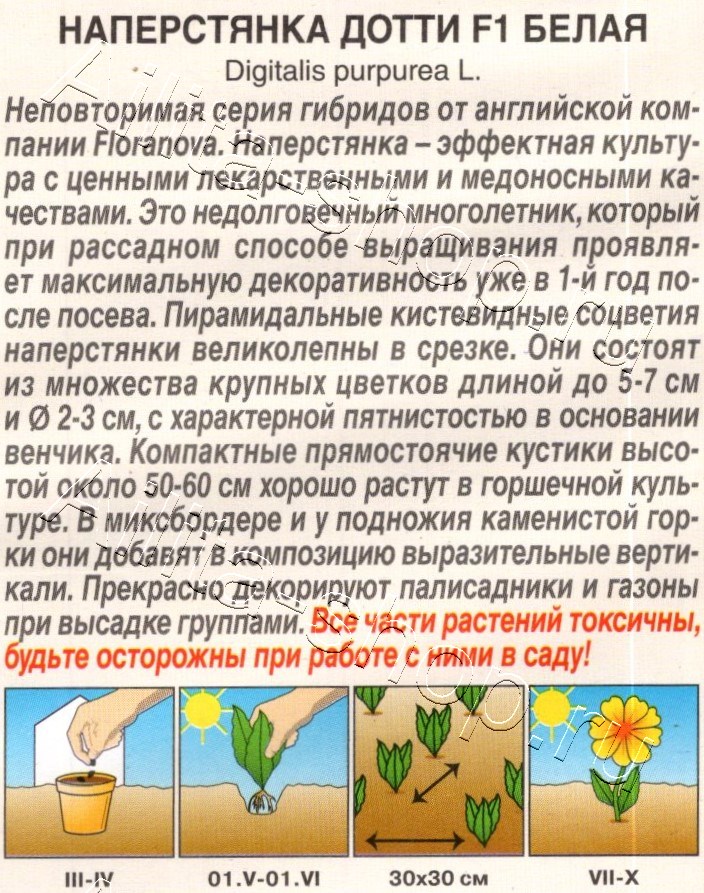 Наперстянка Дотти F1 белая 5шт