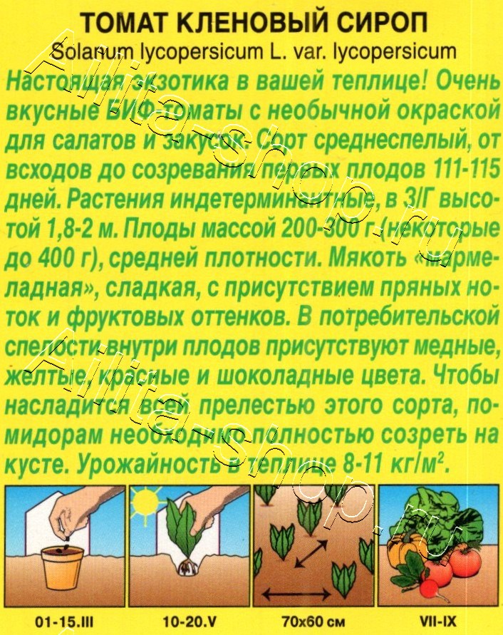 Томат Кленовый сироп 20шт