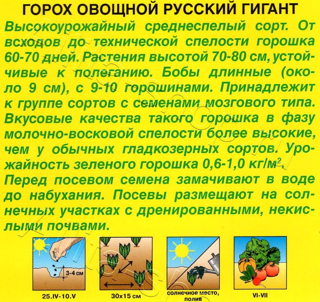 Горох овощной Русский гигант 25г