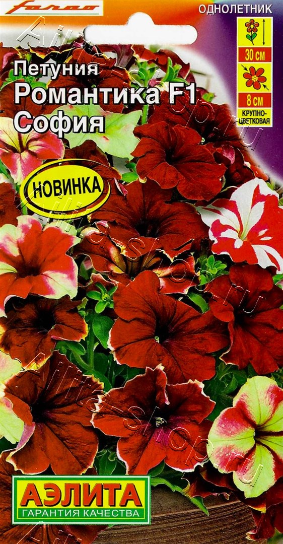 Петуния Романтика F1 софия 5шт
