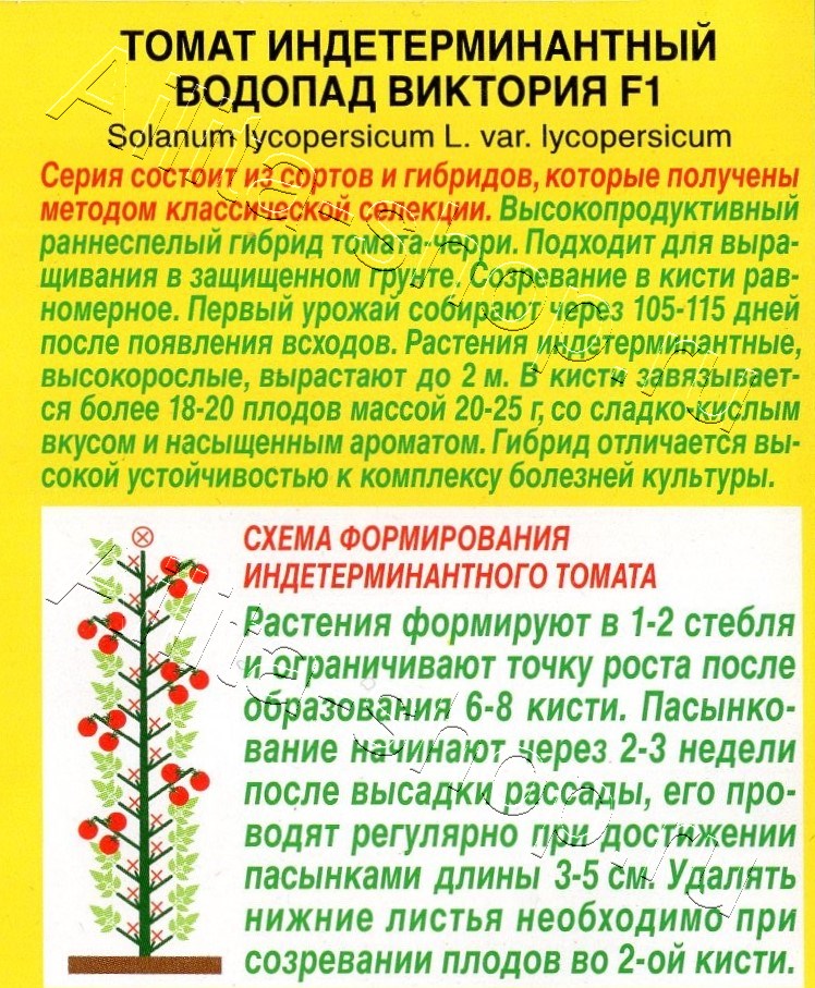 Томат Водопад Виктория F1 10шт