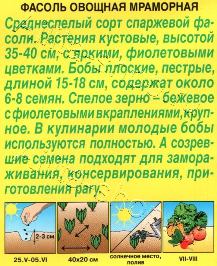 Фасоль овощная Мраморная 5г