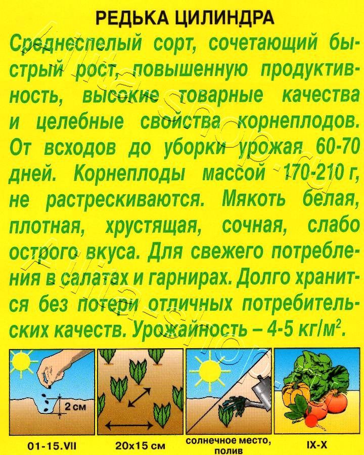 Редька Цилиндра 1г