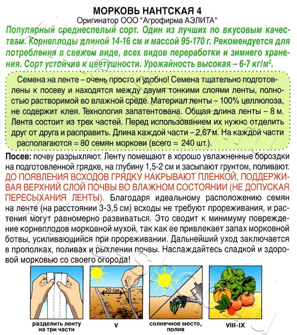 Морковь Нантская 4 на ленте 8м