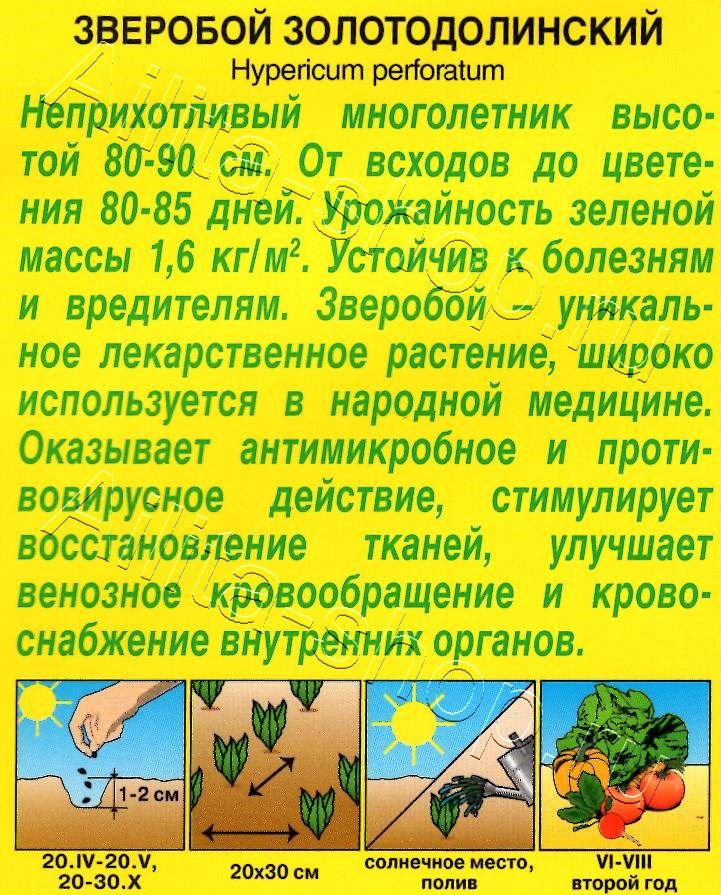 Зверобой Золотодолинский 0,1г