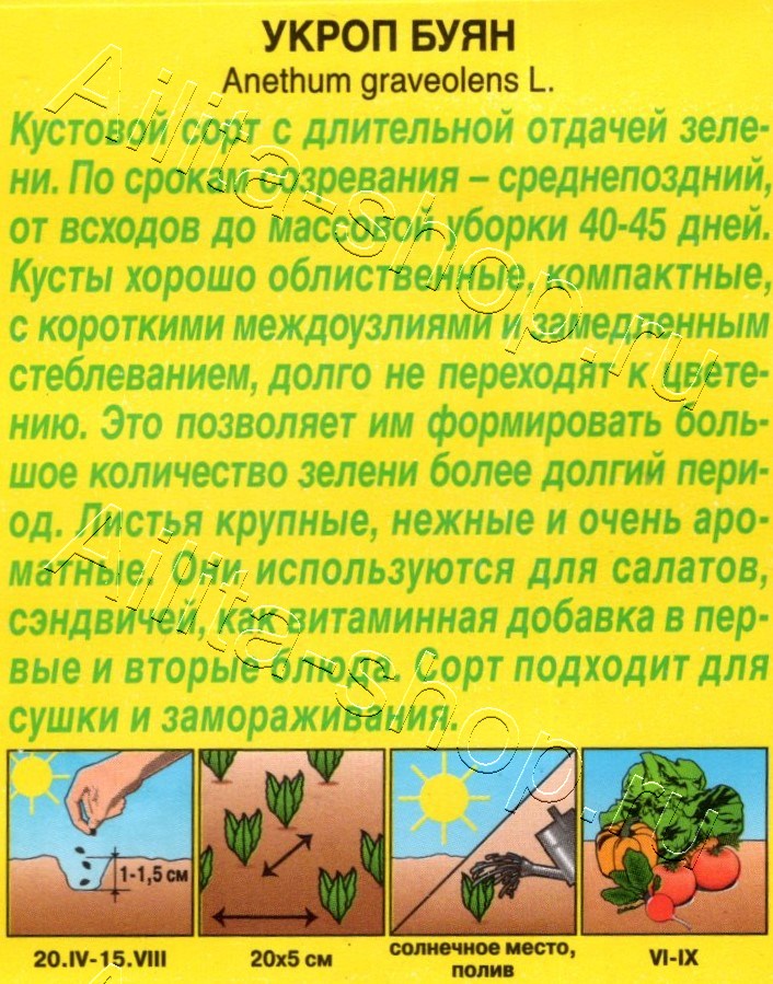 Укроп Буян 2г