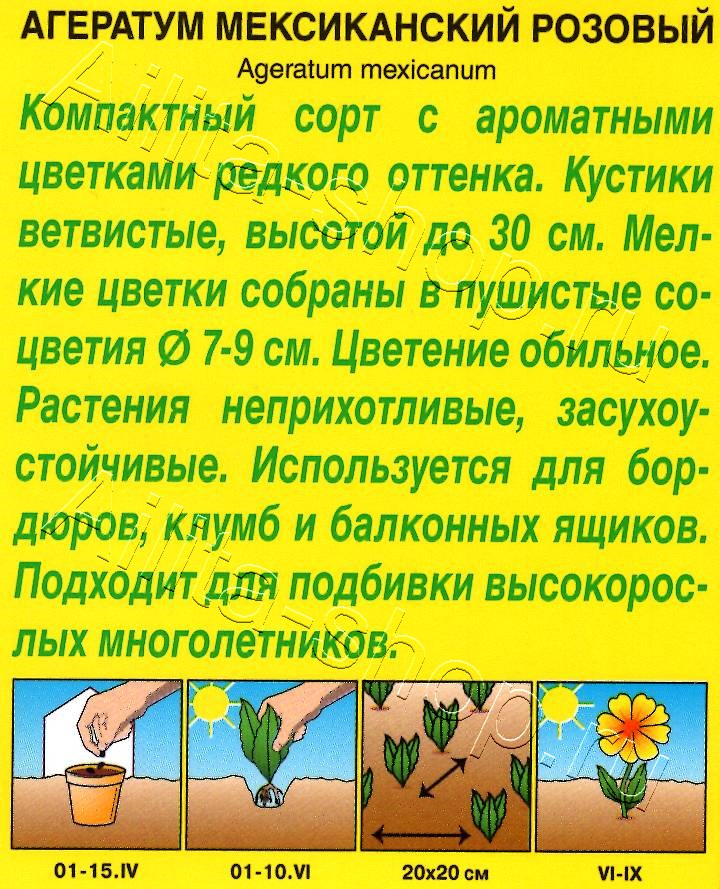 Агератум Мексиканский розовый 0,05г