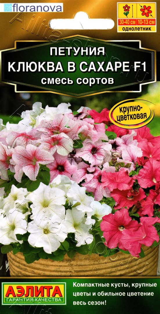 Петуния Клюква в сахаре F1 крупноцветковая, смесь сортов 7шт