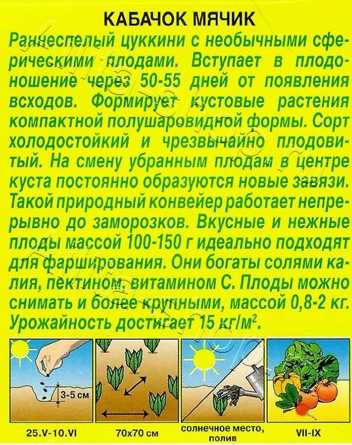 Кабачок цуккини Мячик 1г