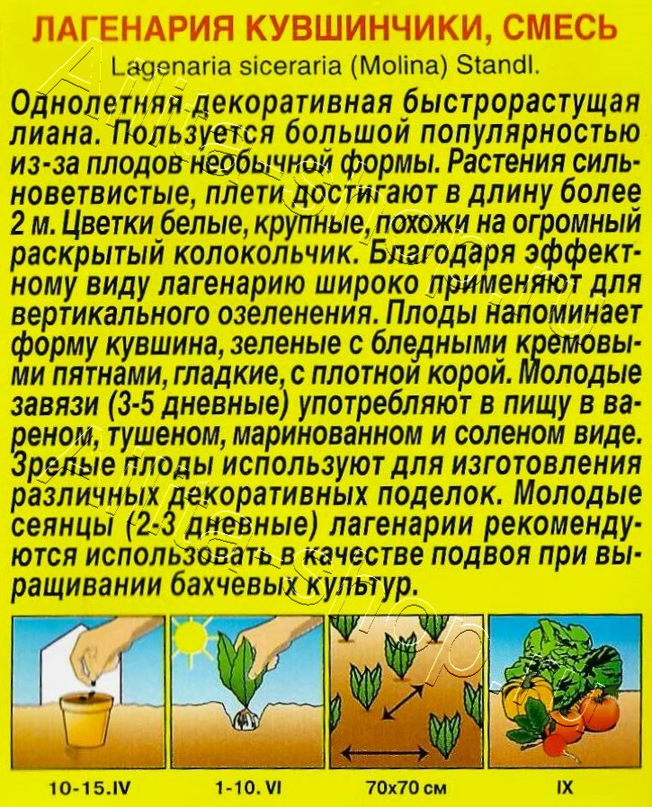 Лагенария Кувшинчики 10шт
