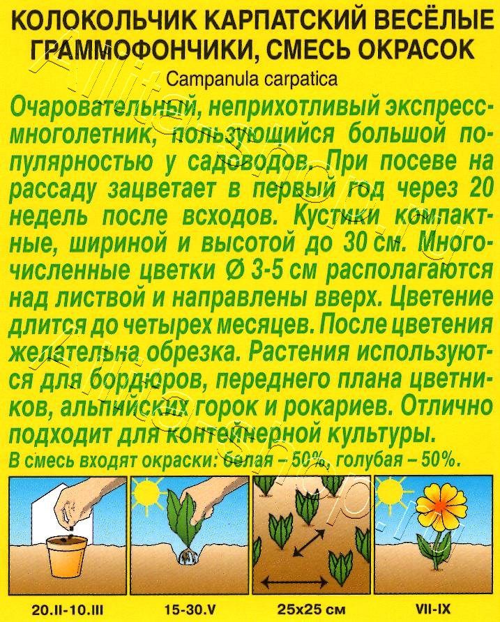 Колокольчик Веселые граммофончики, смесь окрасок 0,1г