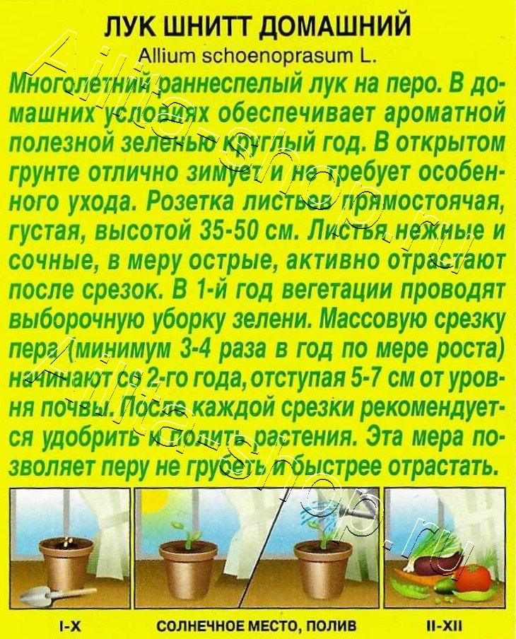 Лук шнитт Домашний 0,3г