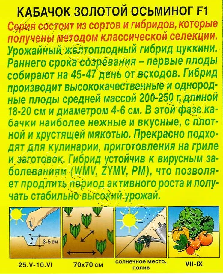 Кабачок цуккини Золотой осьминог F1 5шт