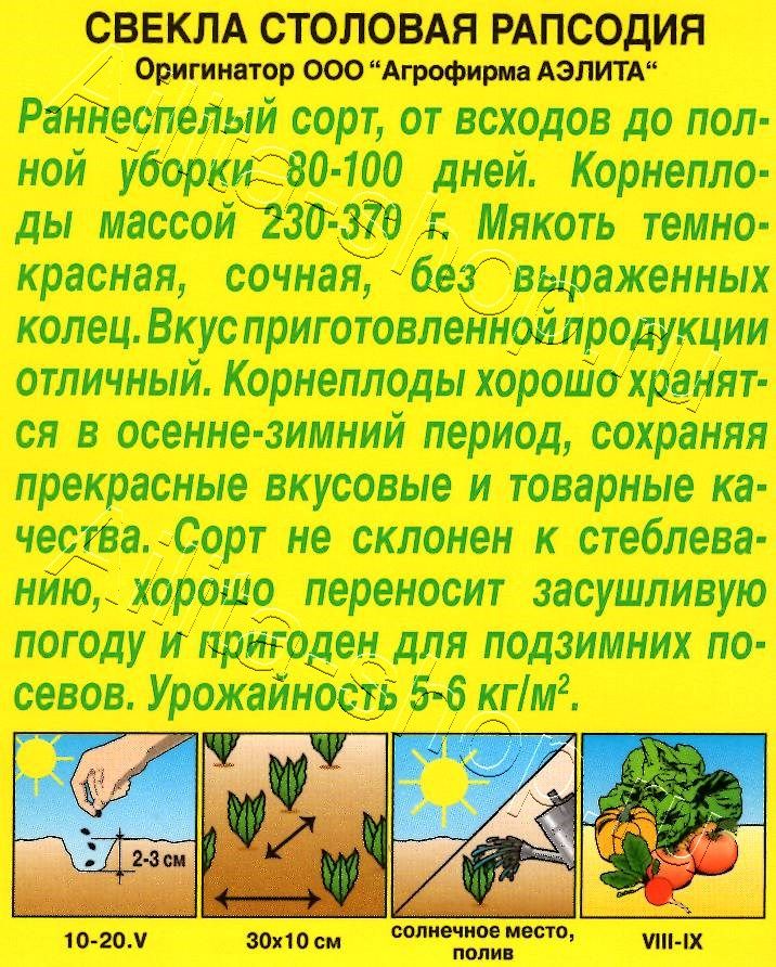 Свекла столовая Рапсодия 3г