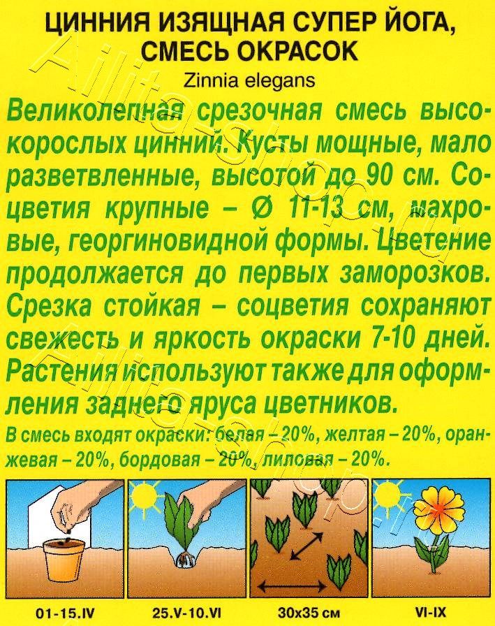 Цинния Супер йога, смесь окрасок 0,3г