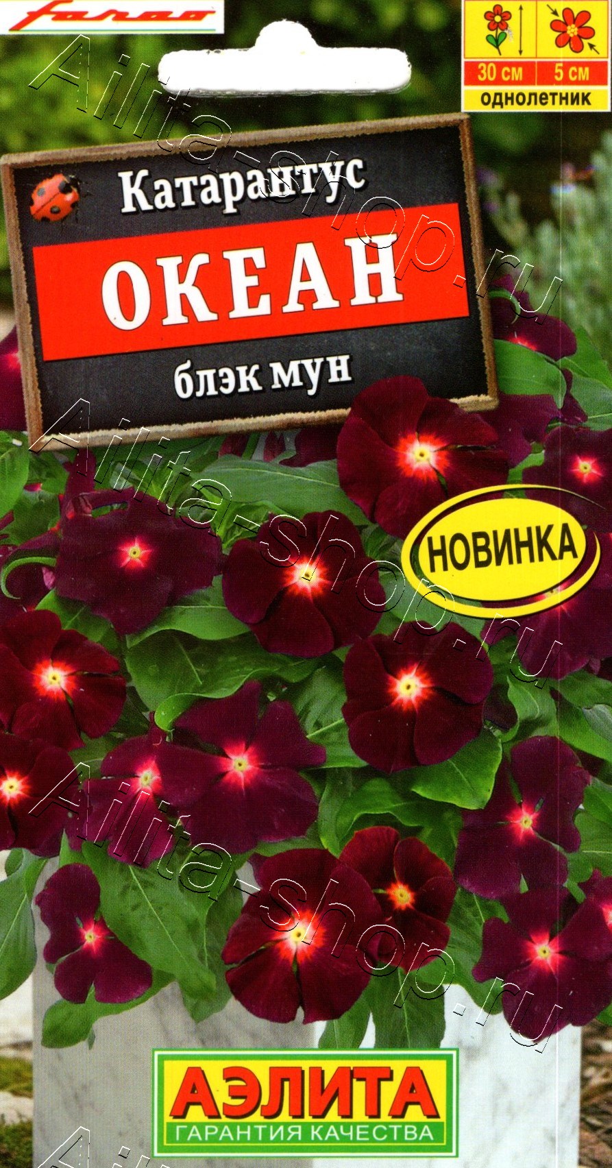 Катарантус Океан блэк мун 10шт