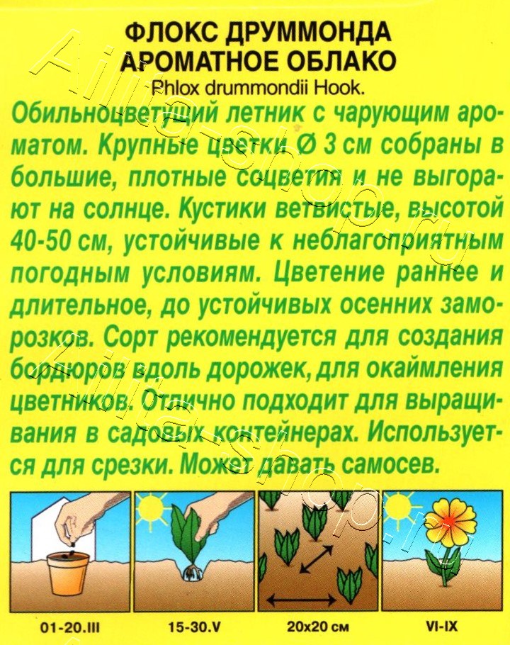 Флокс крупноцветковый Ароматное облако 0,2г