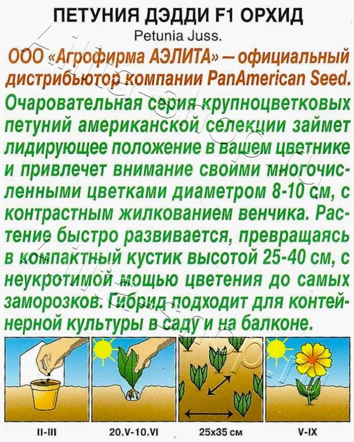 Петуния Дэдди орхид F1 крупноцветковая 7шт